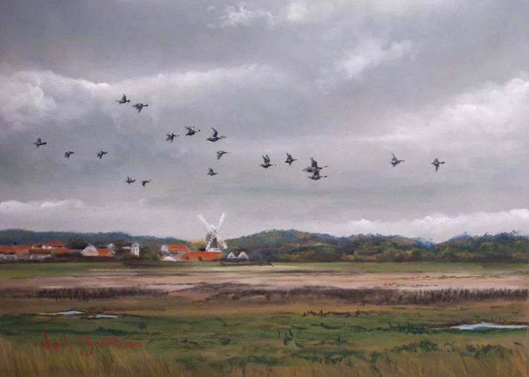 Brent Geese at Cley Marshes, Norfolk - Neil Burton