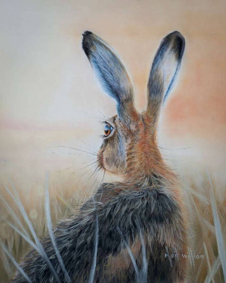 Golden Hour Hare - Limited Edition Print - Neil Burton