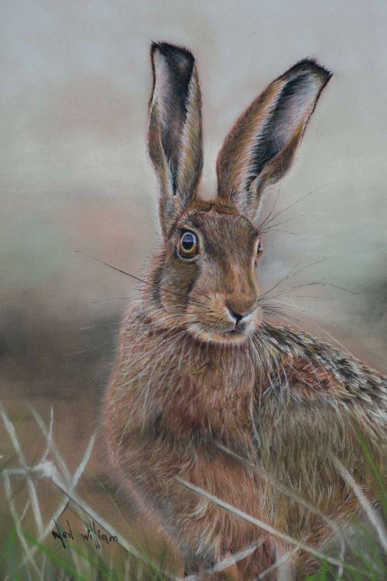 Watchful Hare - Neil Burton