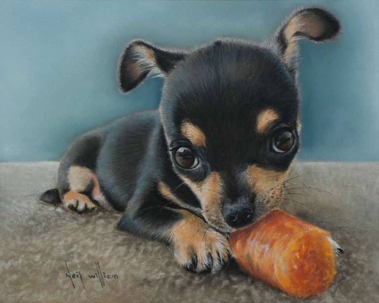 Pastel Portrait of a Chihuahua - Neil Burton