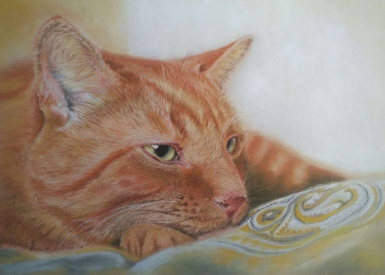 Pastel Portrait of a Ginger Tom Cat - Neil Burton