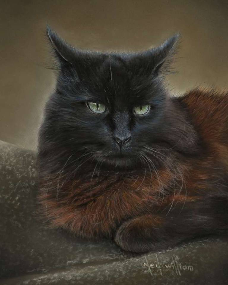 Pastel Portrait of a Cat - Neil Burton