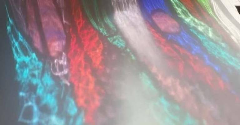 Abstract Window Projection - Caroline Channing