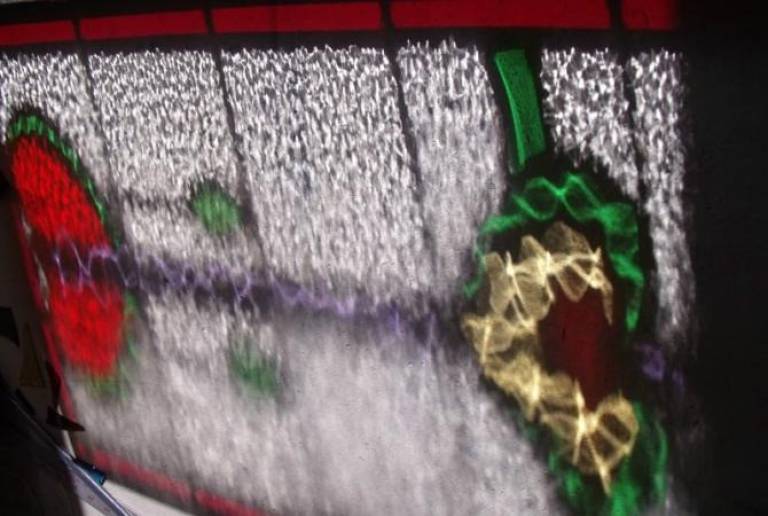 Mel's Window - Caroline Channing