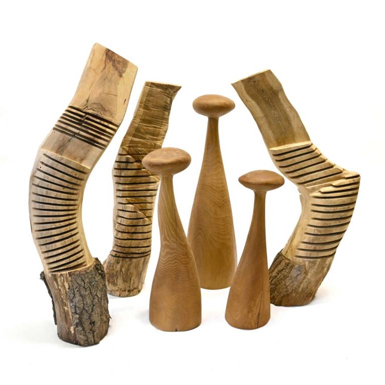 Three Lined Forms and Three Acacia Forms, 2000 - JOHN HITCHENS