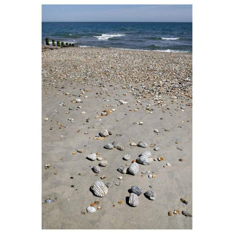STRIPED STONES, EAST BEACH; 2022 - JOHN HITCHENS