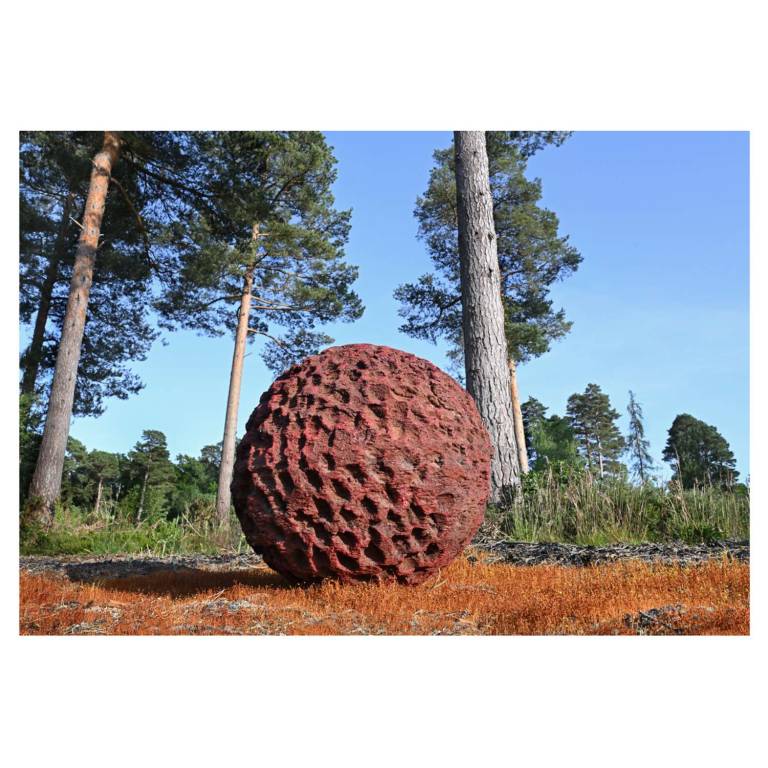 FOREST FRUIT, 2026 (1994) - JOHN HITCHENS