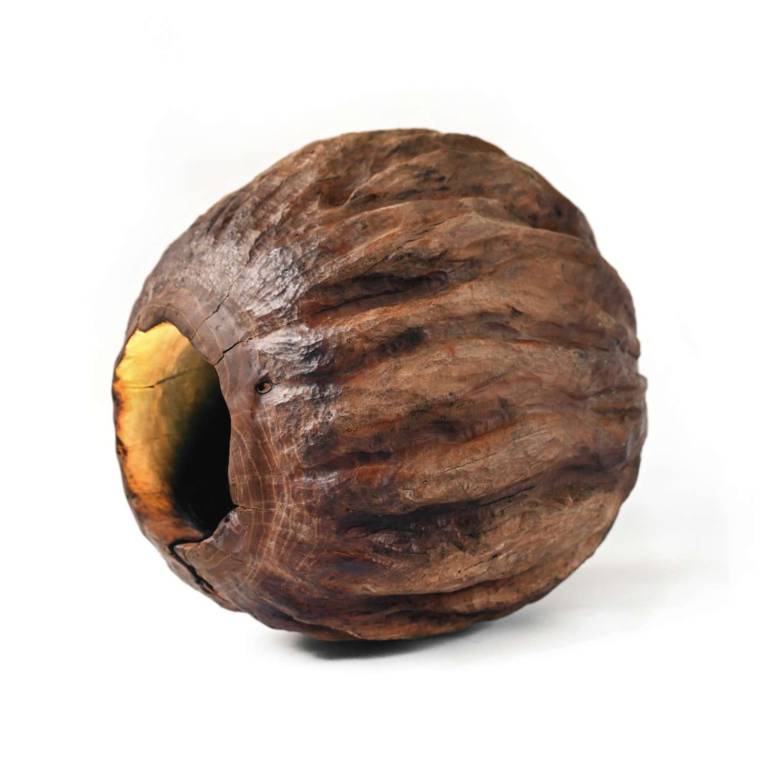 CHERRY ‘NUT’, 1996 - JOHN HITCHENS