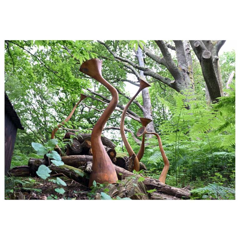 GROWTH FORMS, 2024 (2002) - JOHN HITCHENS