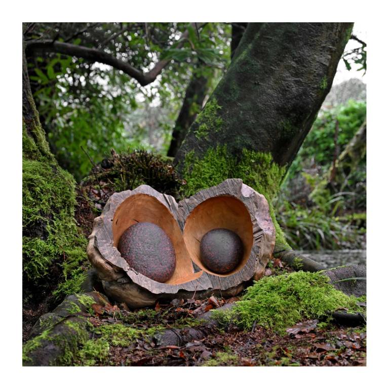 DOUBLE BURR AND BEACH STONES, 2026 (2010) - JOHN HITCHENS