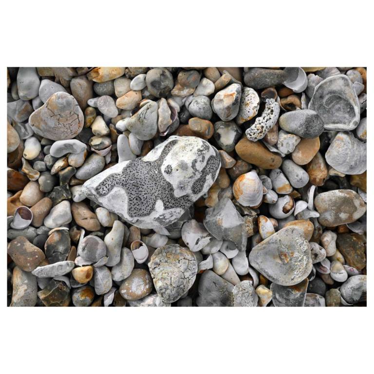 CAMOUFLAGE STONE, 2025 - JOHN HITCHENS