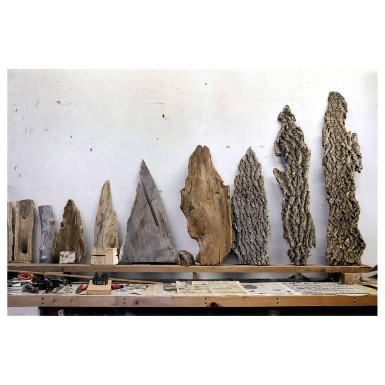 REMNANTS OF A FOREST, 2020 - JOHN HITCHENS
