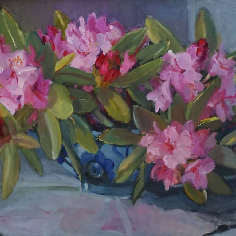 Pink Rhododendrons From My Garden