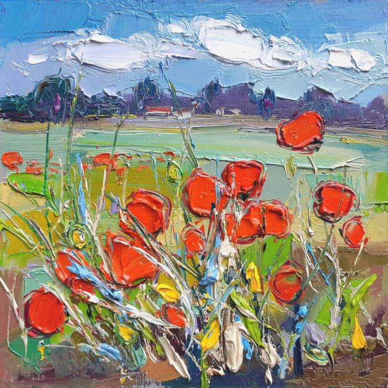 Poppy Field Longniddry