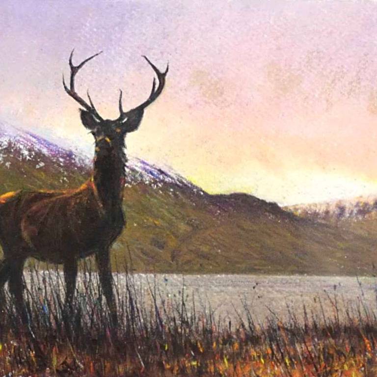 Loch Quaich and The Stag at Sunrise