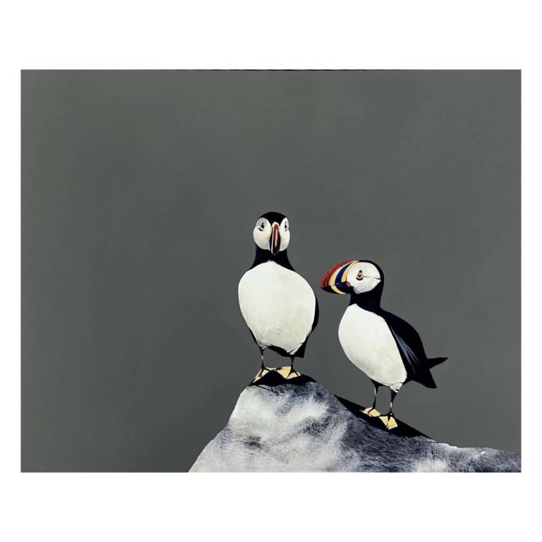 Puffin Pair (18x23inches, framed 26x31inches)