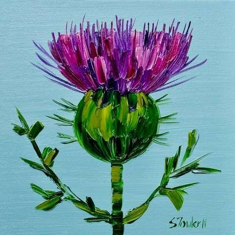 Pretty Wee Thistle