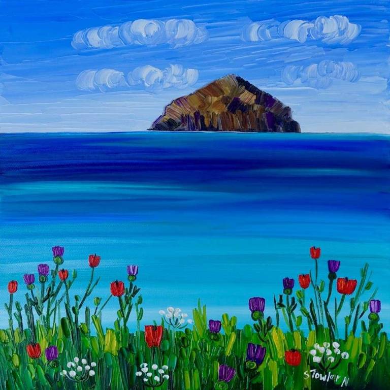 Ailsa Craig and Arran Wildflowers