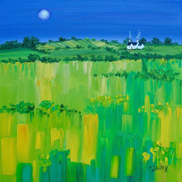 Moonlit Meadow