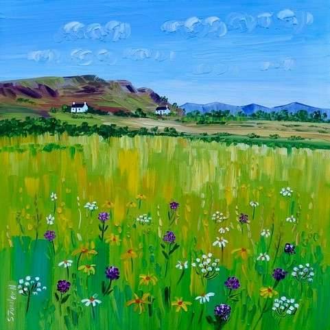 Summer Meadow (Perthshire)