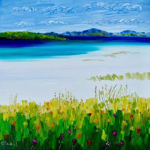 White Sands and Machair North Uist
