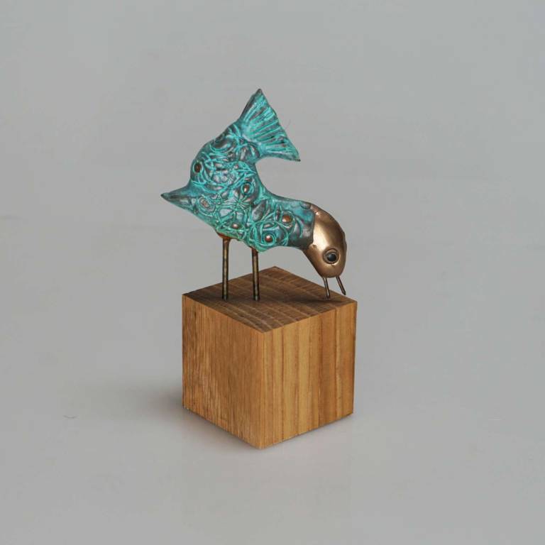 Fugl Bird