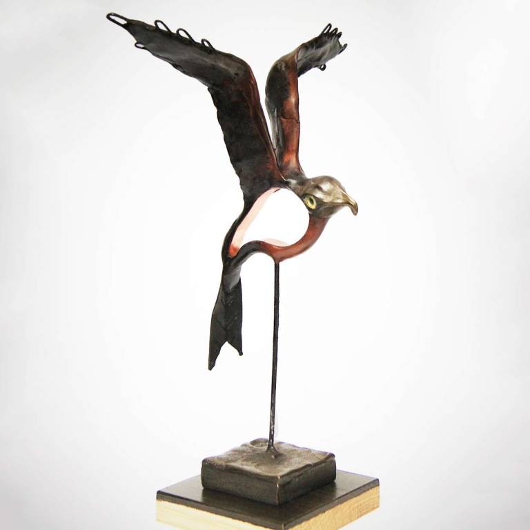 Red Kite 1