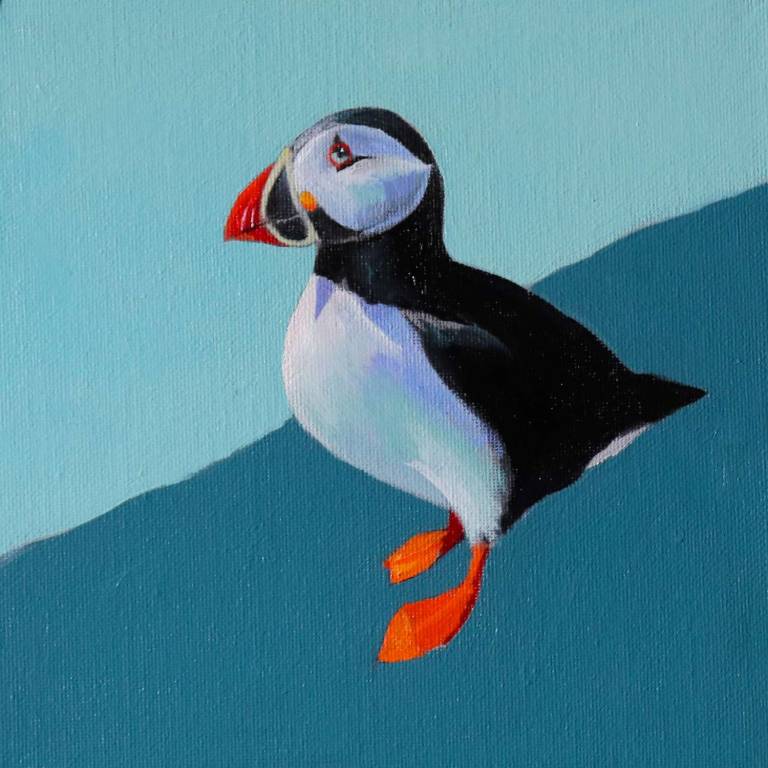 Puffin Study