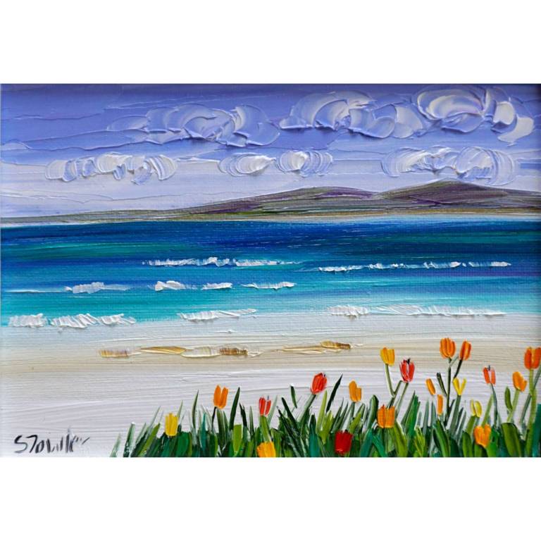 White Sands and Machair Harris