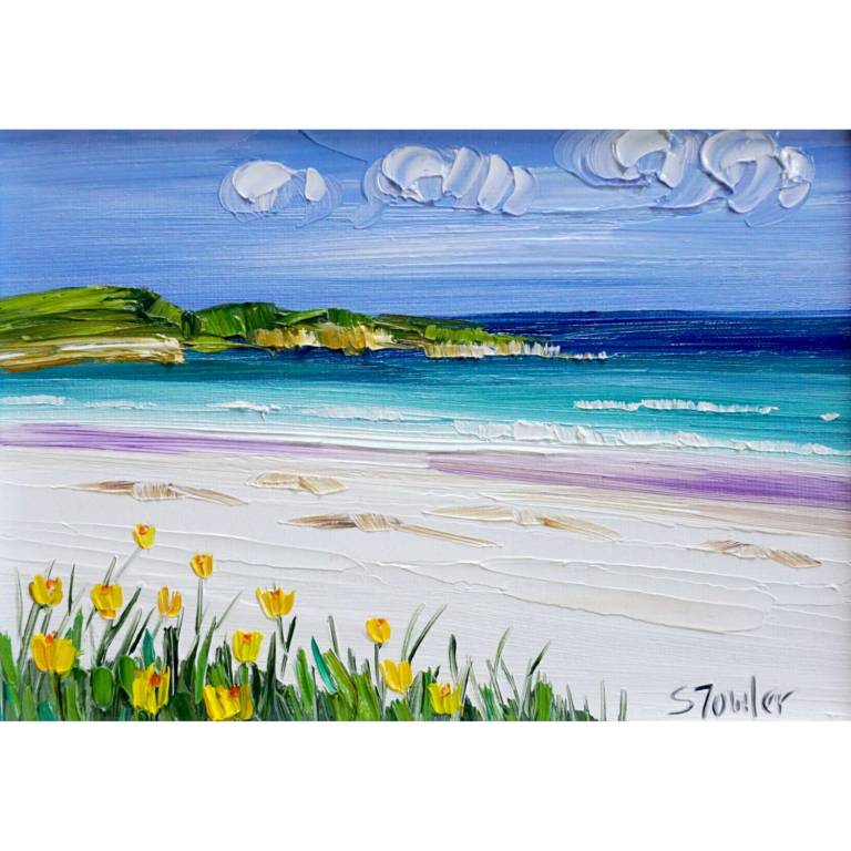 Yellow Wildflowers South Uist