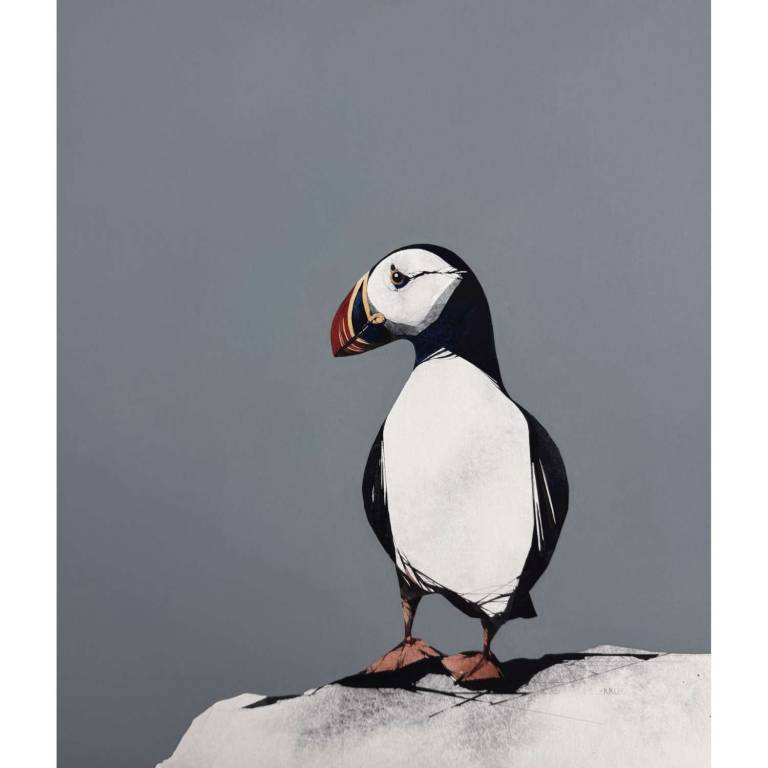 Atlantic Puffin (17x15 inches, Framed 25x23 inches)