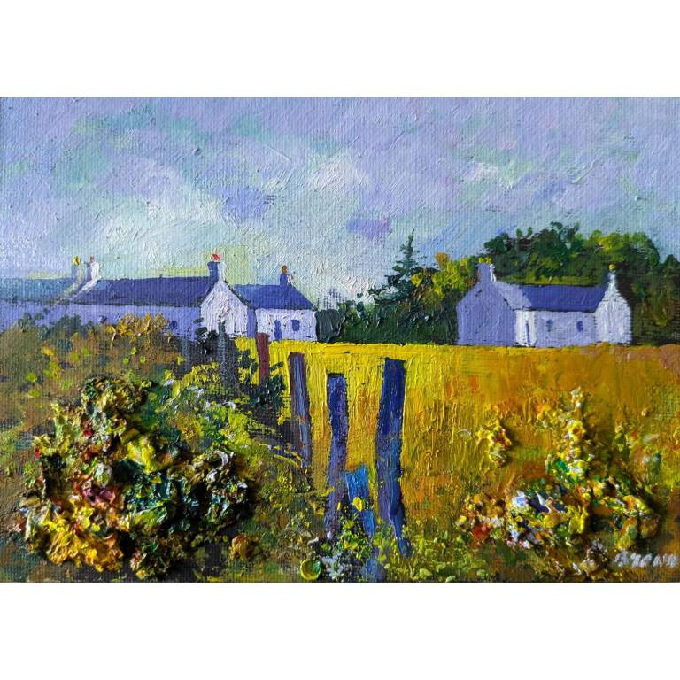 Summer Fields Galloway