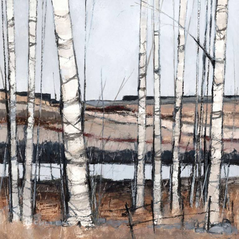 Clyde Study Birch Trees