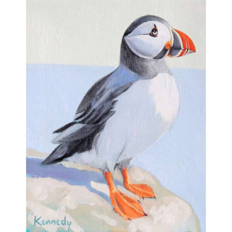 Puffin Study