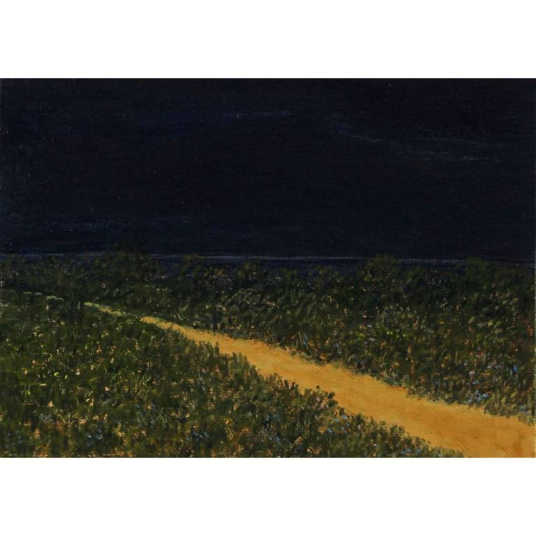 Night Path