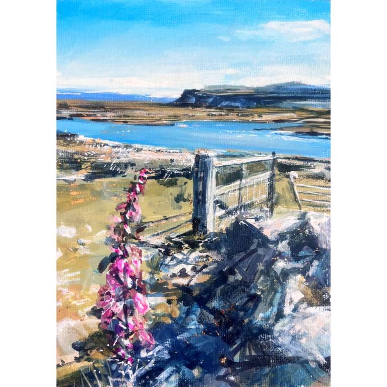 Foxgloves, Isle of Mull