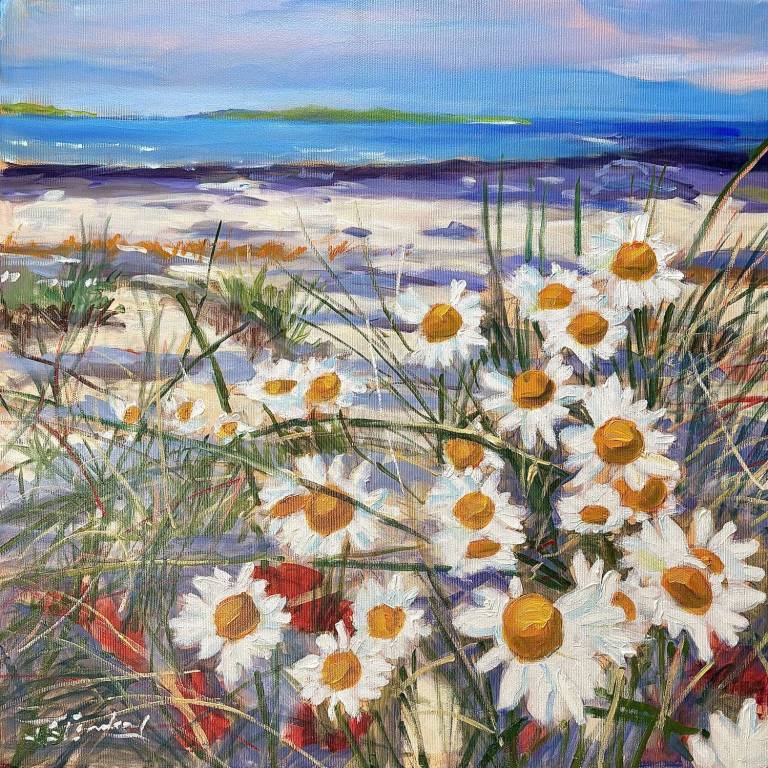 Combing the Beach, Argyll