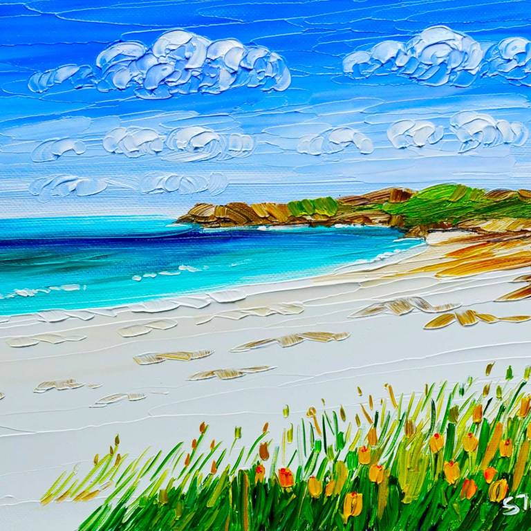 Coastal Wildflowers of Harris
