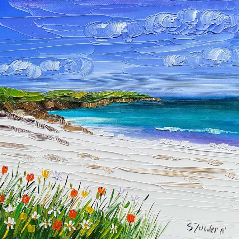 Summer Machair, Isle of Harris