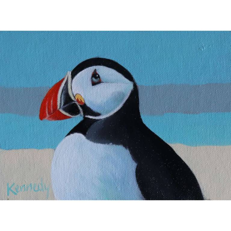 Beach Puffin