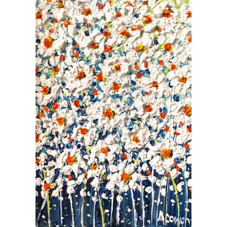 Daisy Field