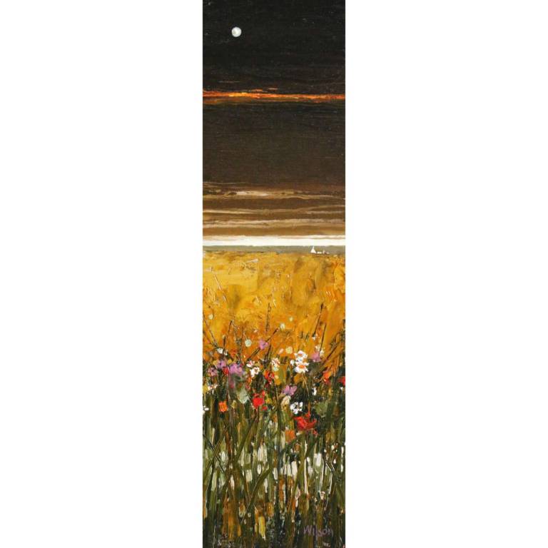 Wheat Field, Ayr Coast