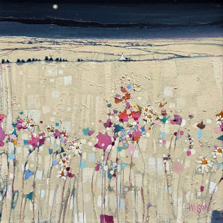 Moonlit Belties, Arran